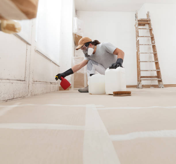 Best Basement Mold Removal  in Alhambra, CA